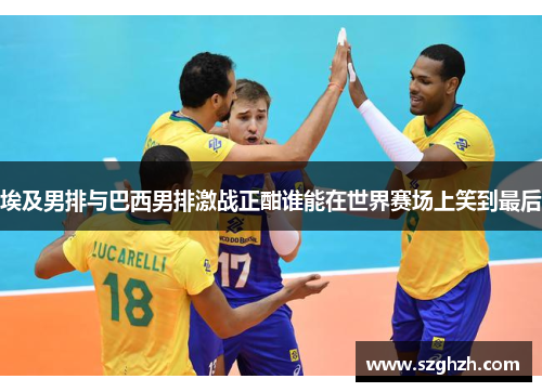 埃及男排与巴西男排激战正酣谁能在世界赛场上笑到最后