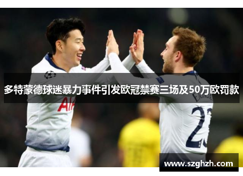 多特蒙德球迷暴力事件引发欧冠禁赛三场及50万欧罚款