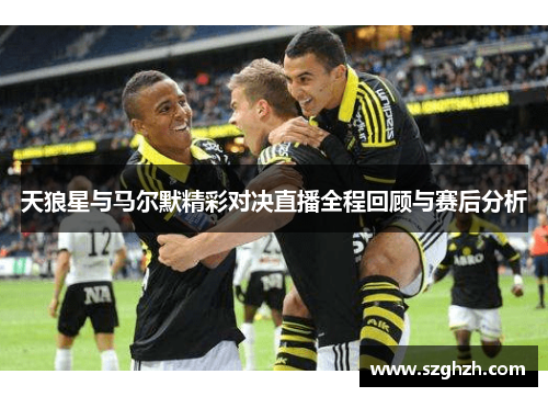 天狼星与马尔默精彩对决直播全程回顾与赛后分析