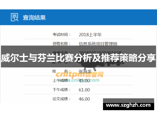 威尔士与芬兰比赛分析及推荐策略分享
