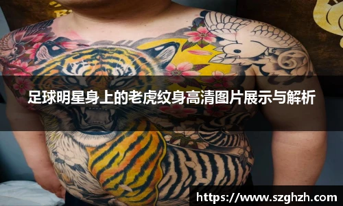 足球明星身上的老虎纹身高清图片展示与解析